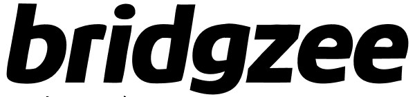 bridgzee logo